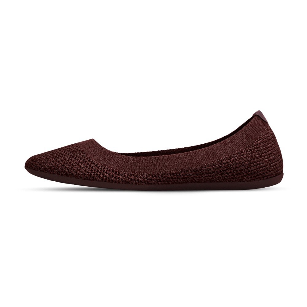 Allbirds Women\'s Tree Breezers - Flats Brown - KJI612438